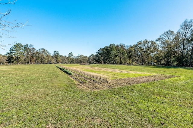 view of yard with a rural view