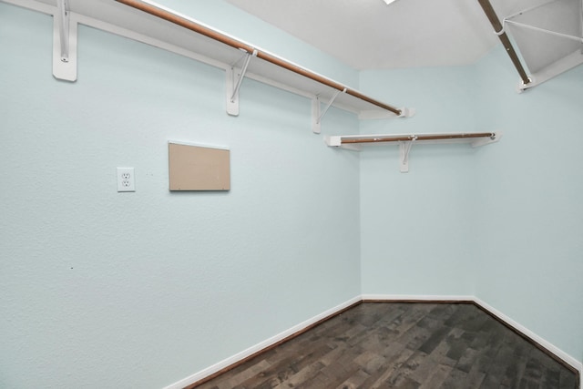 spacious closet featuring hardwood / wood-style flooring