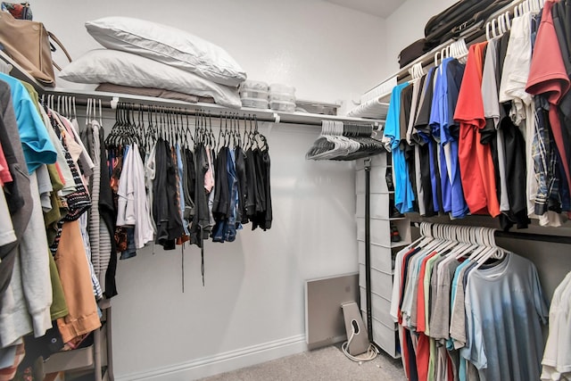 spacious closet featuring carpet flooring