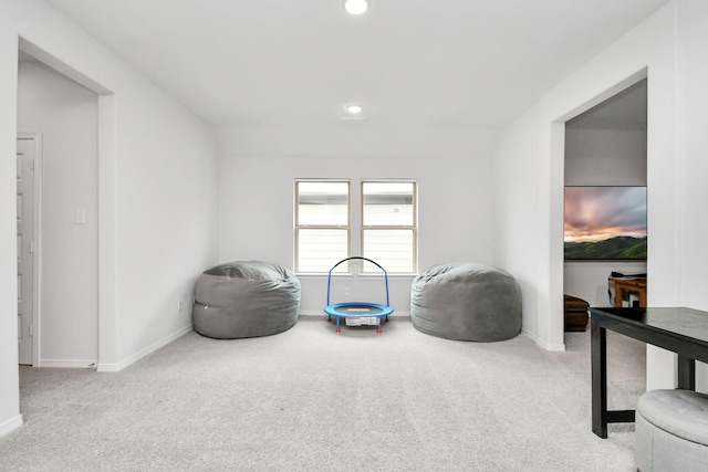 interior space with light carpet