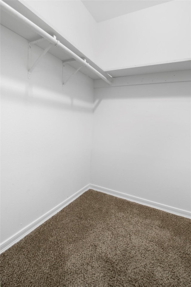 walk in closet with carpet