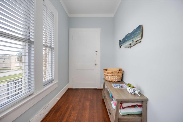 doorway with dark hardwood / wood-style flooring and ornamental molding