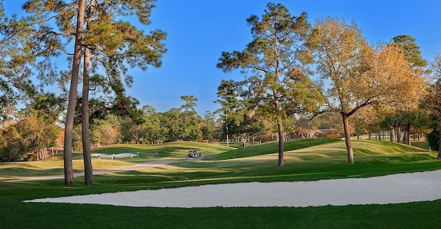 view of property's community with a lawn