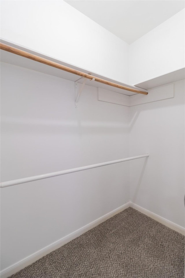 spacious closet with carpet floors