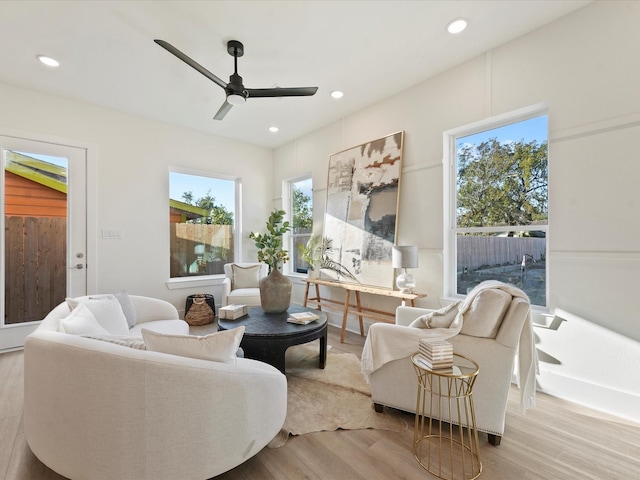 living room with ceiling fan and light hardwood / wood-style flooring