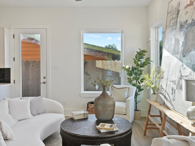 living area featuring light hardwood / wood-style floors