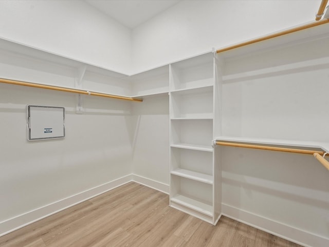 spacious closet with hardwood / wood-style floors