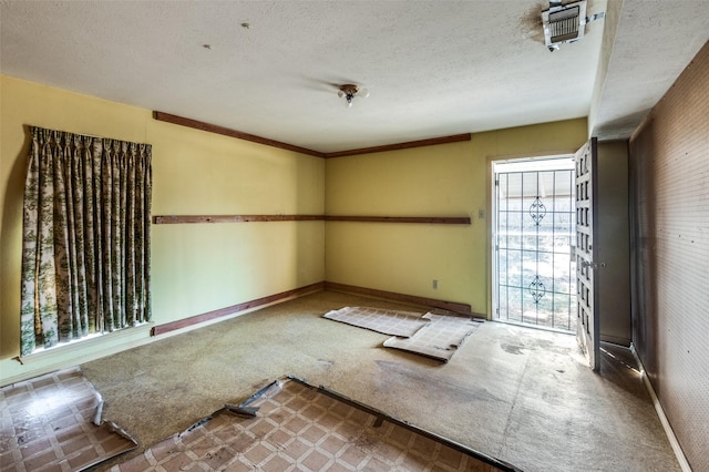 empty room featuring carpet and a textured ceiling