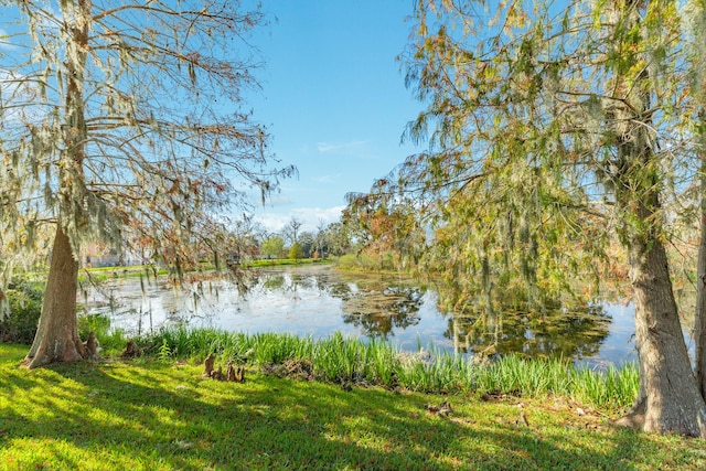 view of water feature