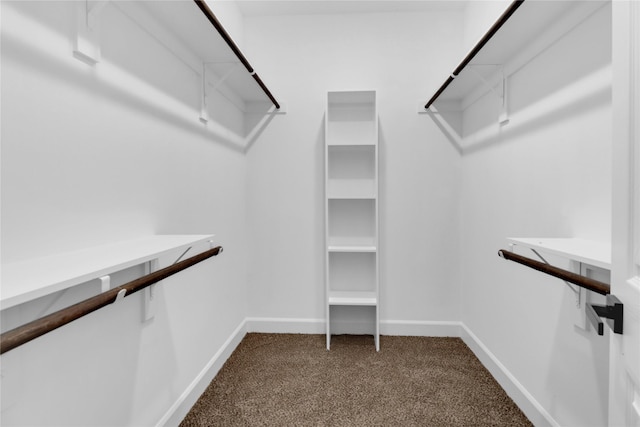 spacious closet featuring carpet