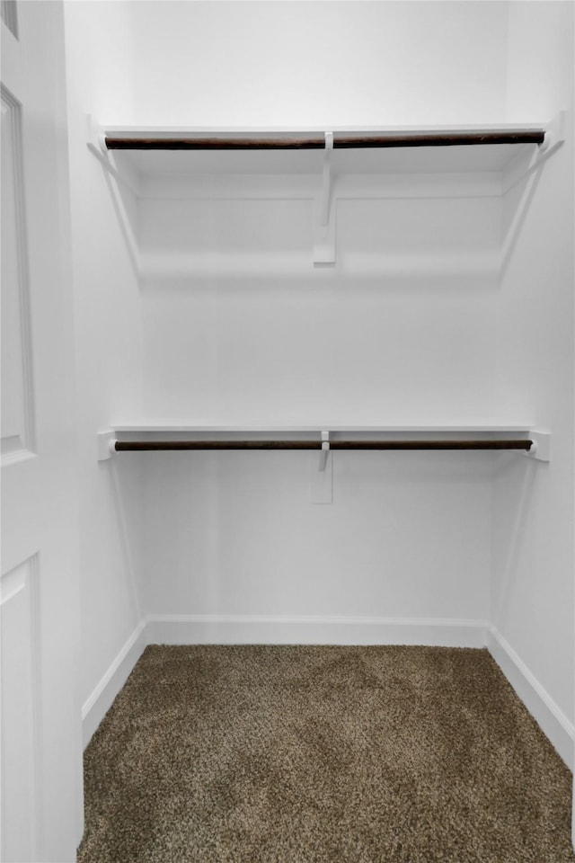 walk in closet with carpet