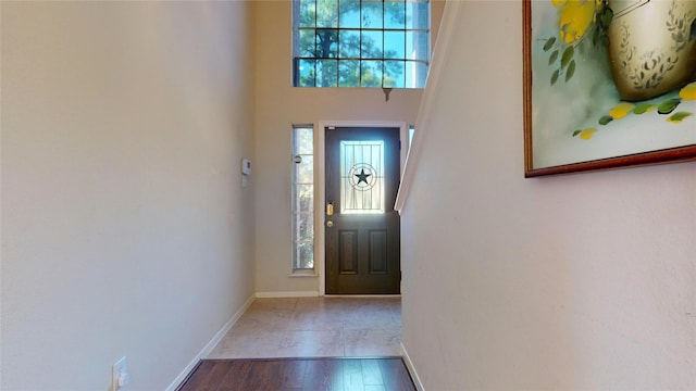 foyer entrance featuring wood-type flooring