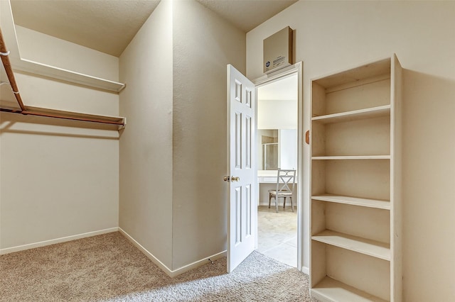 spacious closet with carpet floors