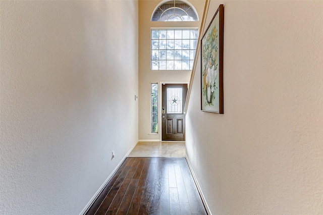 doorway featuring hardwood / wood-style floors, a healthy amount of sunlight, and a high ceiling