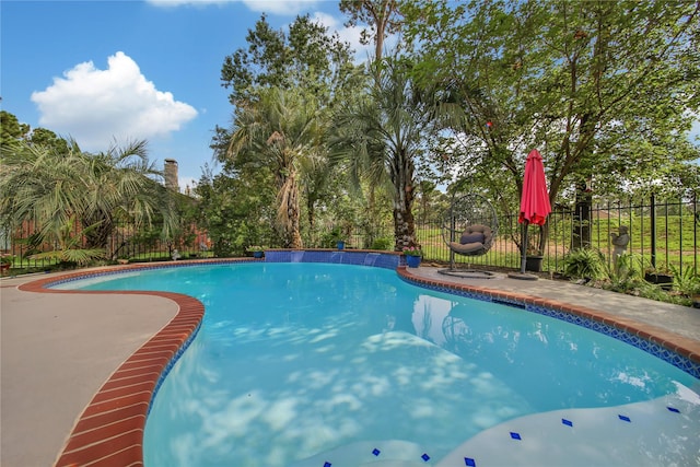 view of pool featuring a patio area