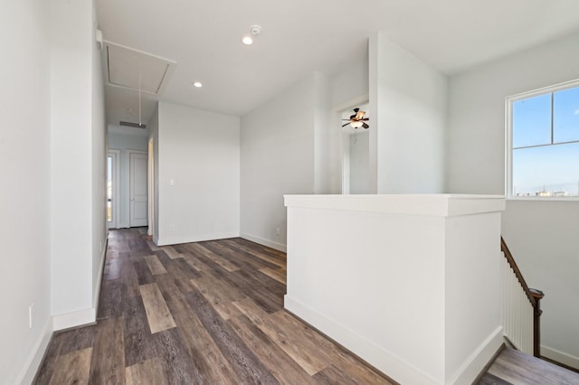 hallway featuring dark wood-type flooring