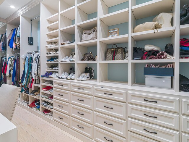 walk in closet featuring light hardwood / wood-style flooring