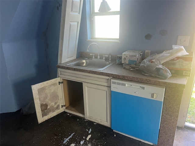 kitchen featuring dishwashing machine and sink