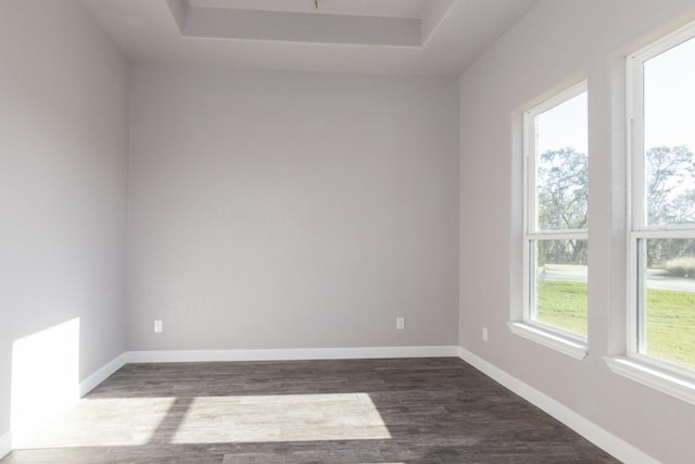 empty room featuring dark wood-type flooring and a wealth of natural light