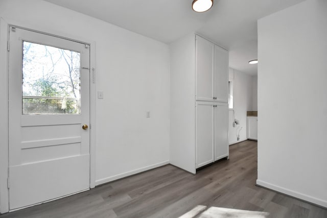 entryway with dark hardwood / wood-style flooring