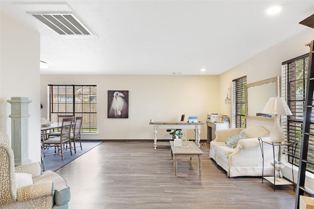 living room featuring wood-type flooring