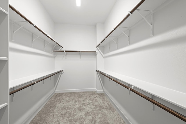 spacious closet featuring light carpet