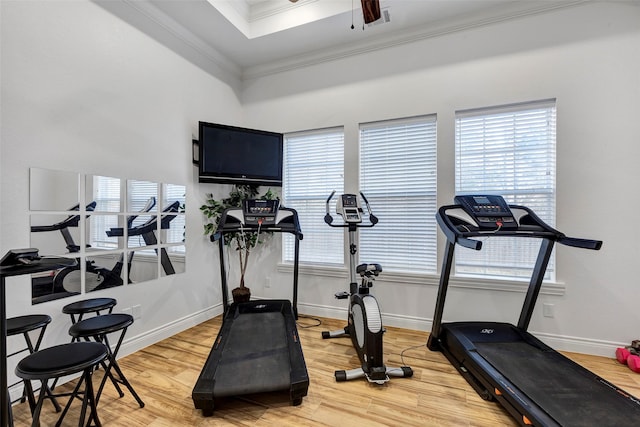 exercise area featuring hardwood / wood-style floors, ornamental molding, a healthy amount of sunlight, and ceiling fan