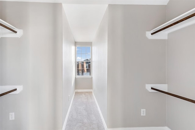 spacious closet featuring light carpet