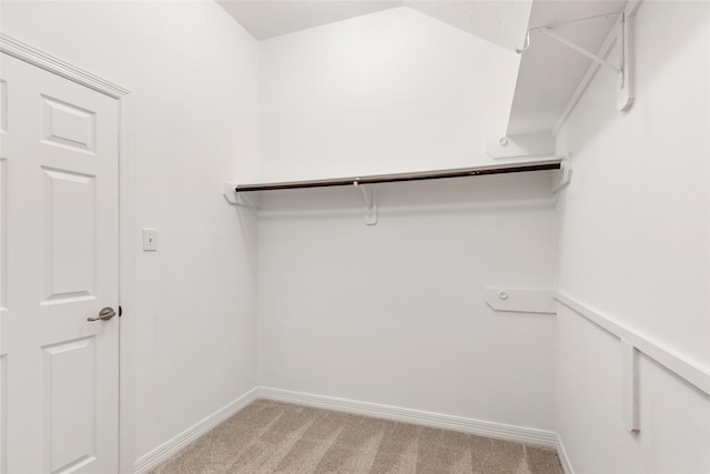 spacious closet featuring light carpet