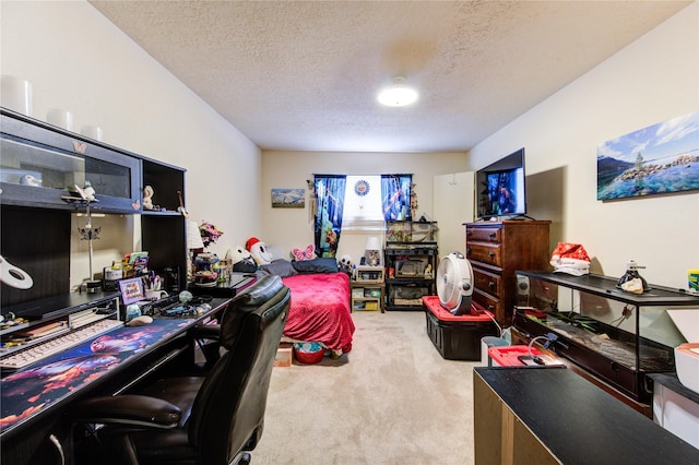 office space with light colored carpet and a textured ceiling