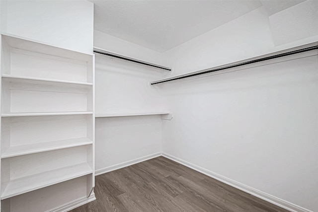 walk in closet featuring dark hardwood / wood-style flooring