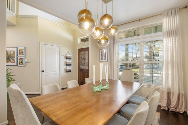 dining room featuring dark hardwood / wood-style flooring