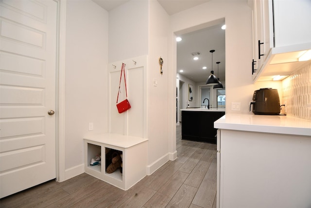 mudroom with sink and wood-type flooring