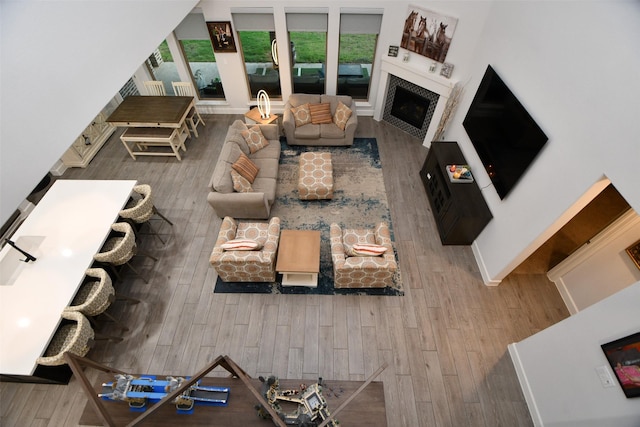 living room with wood-type flooring