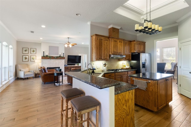 kitchen with sink, ornamental molding, a healthy amount of sunlight, kitchen peninsula, and stainless steel appliances