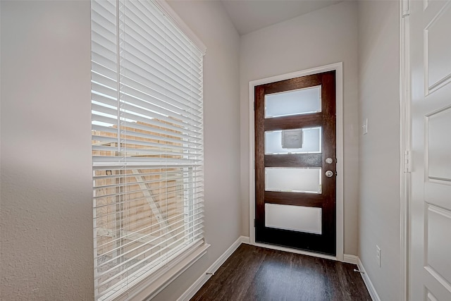 doorway to outside featuring dark wood-type flooring