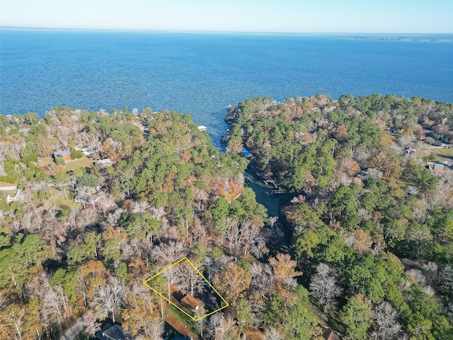 TBD Ash Park Dr, Coldspring TX, 77331 land for sale