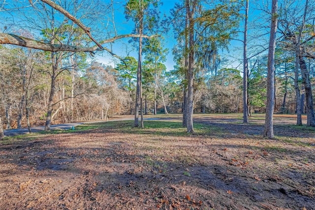 Listing photo 3 for TBD Ash Park Dr, Coldspring TX 77331