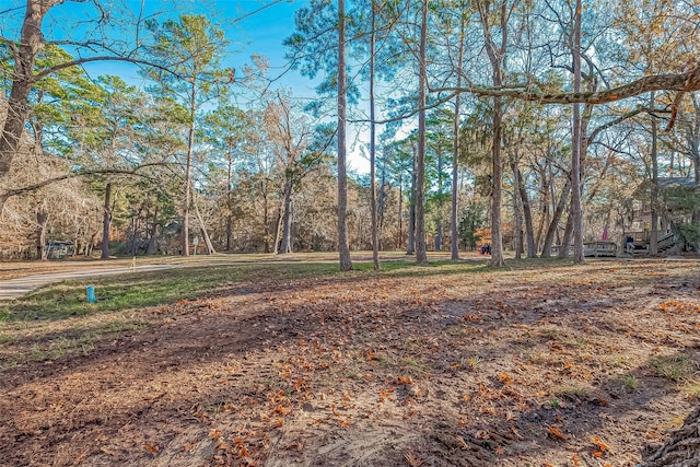 Listing photo 2 for TBD Ash Park Dr, Coldspring TX 77331