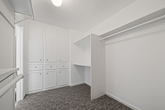 walk in closet featuring dark carpet