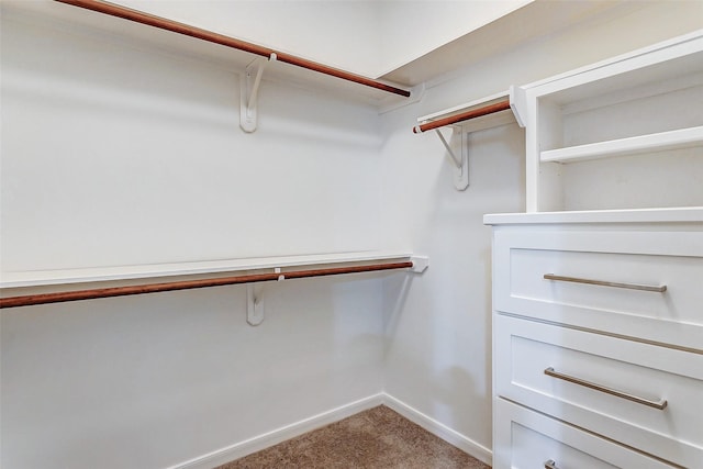 walk in closet with carpet