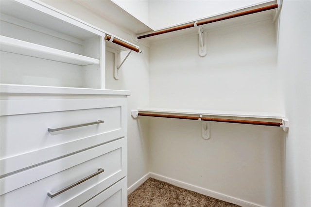 walk in closet featuring carpet flooring