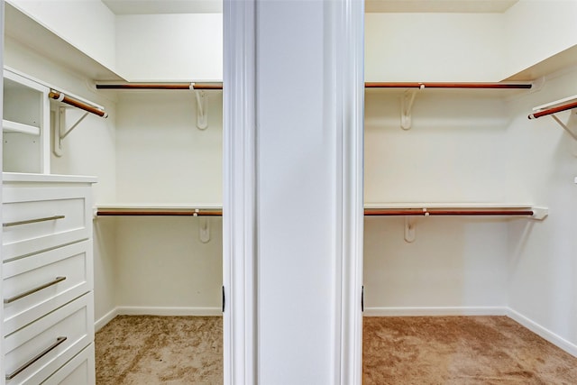 spacious closet with light carpet