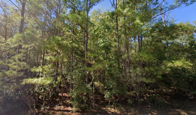 Listing photo 2 for TBD Whisperwood Dr, Onalaska TX 77360