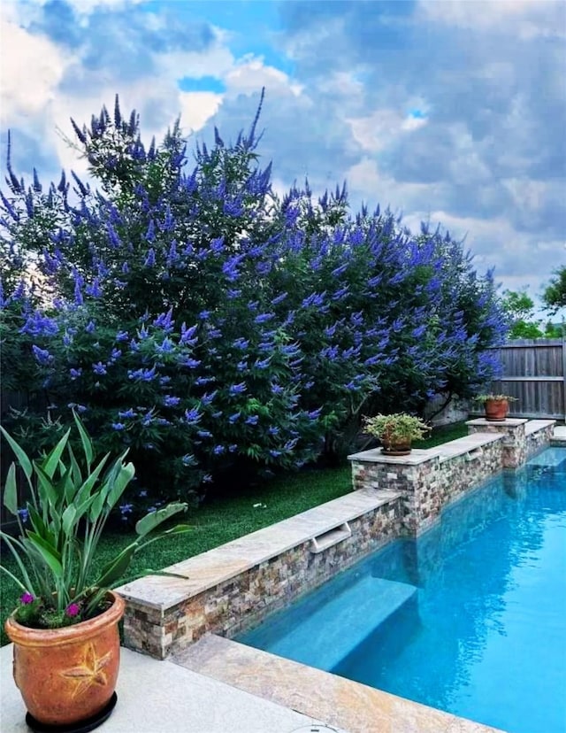 view of swimming pool