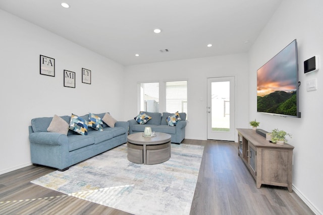 living room featuring wood-type flooring