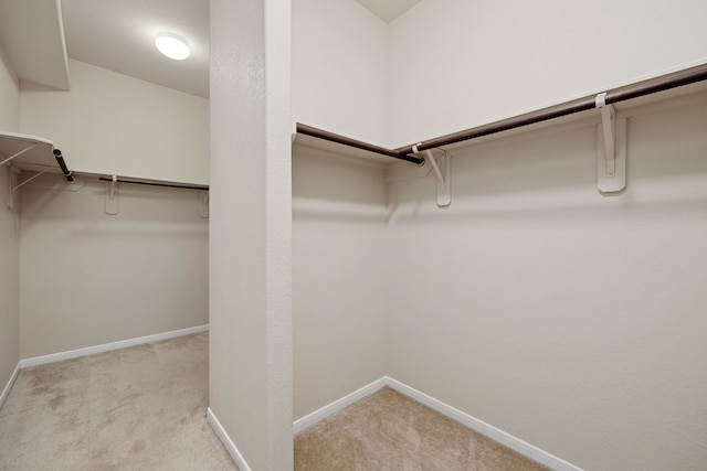 spacious closet with light carpet