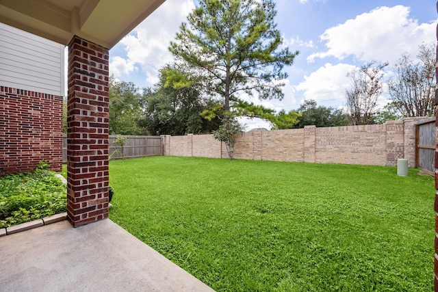 view of yard with a patio area