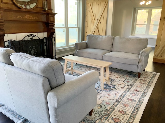 living room featuring dark wood-type flooring