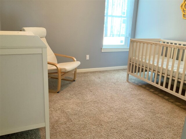 bedroom featuring carpet flooring